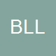 Boscarelli, Lauer, Lazzaro and Millen, CPAs