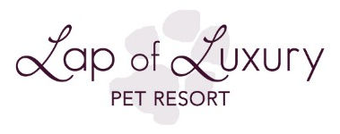 Lap of Luxury Pet Resort