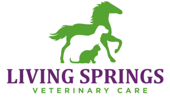 Living Springs Pet Spa