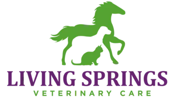 Living Springs Pet Spa