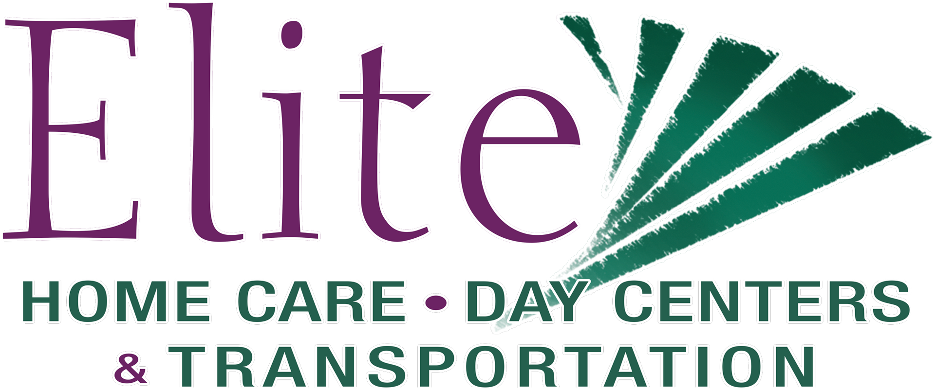 Elite Home Care and Day Center