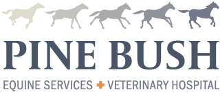 Pine Bush Equine Services