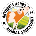 Arthur's Acres Animal Sanctuary