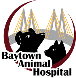 Baytown Animal Hospital