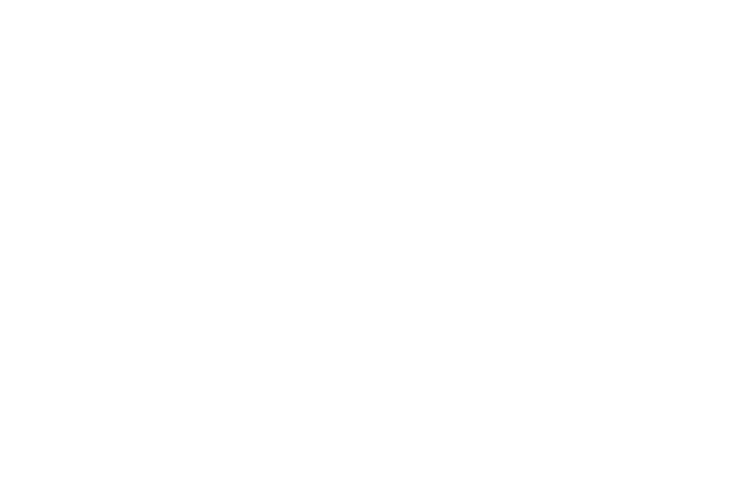 Bartlett Sports, Inc.