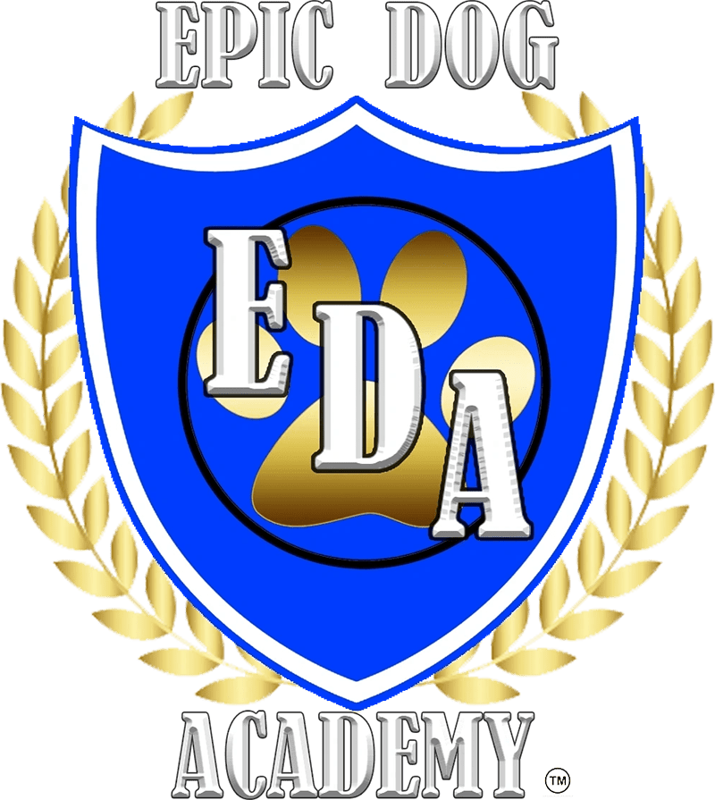 Epic Dog Academy