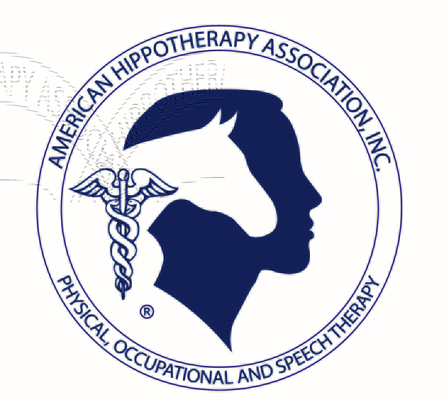 American Hippotherapy Association, Inc.
