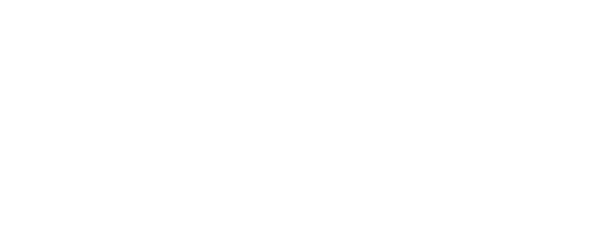 Southern Veterinary Partners