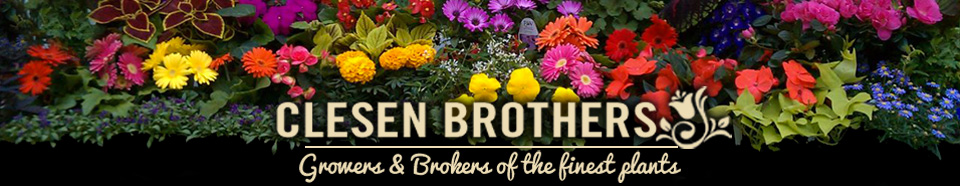 Clesen Brothers, Inc