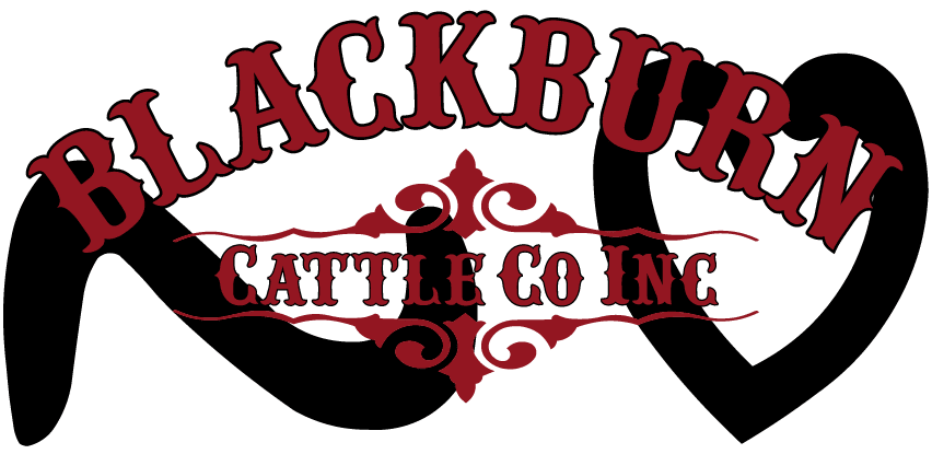 Blackburn Cattle Co Inc