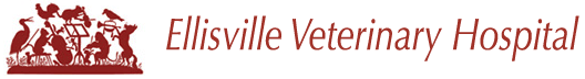 Ellisville Veterinary Hospital