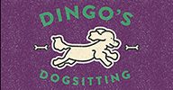 Dingo's Dogsitting