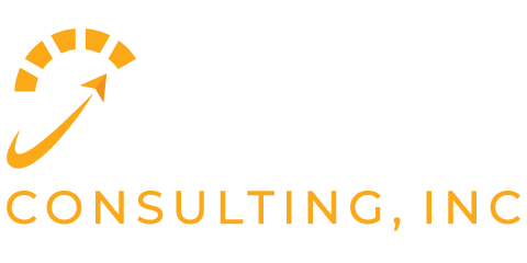 CaVU Consulting Inc