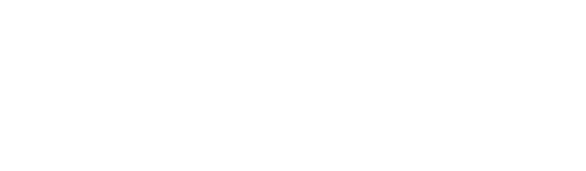 Southern Integrated Solutions and Consulting