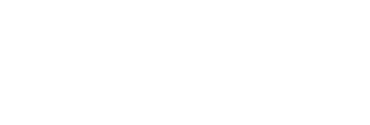 The Mental Health Association of Westchester