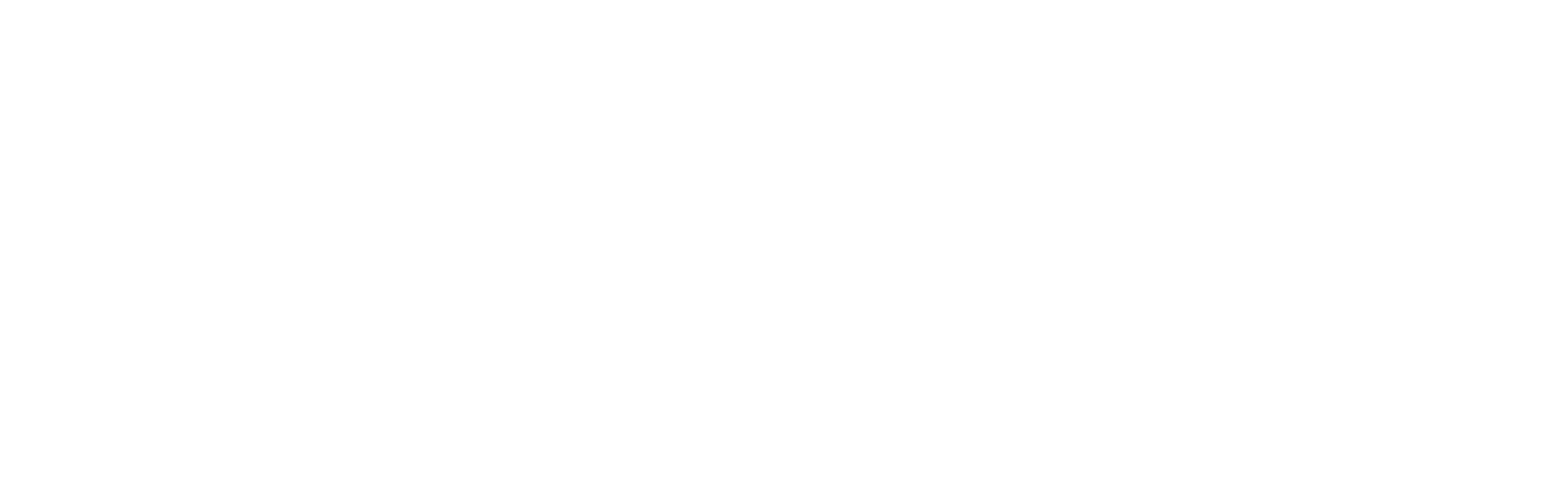 Laurie Dau Team