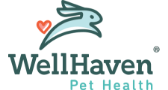 WellHaven Pet Health Downtown Vancouver