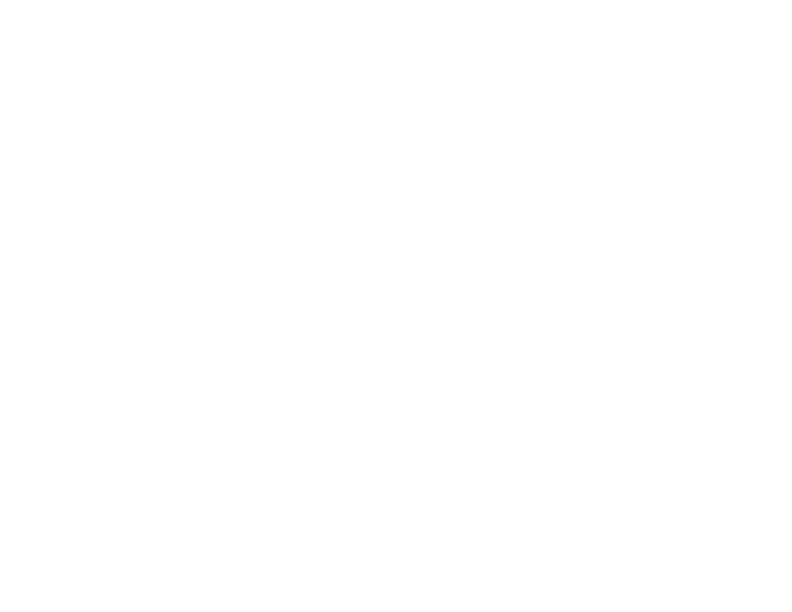 5ive Spice
