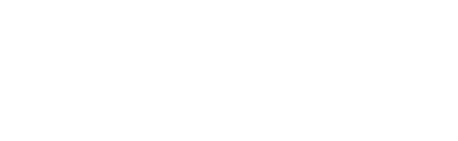 Wealthspring Capital LLC