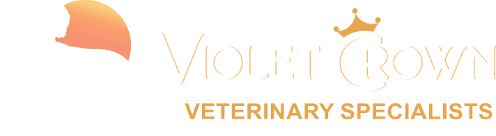 Violet Crown Veterinary Specialists