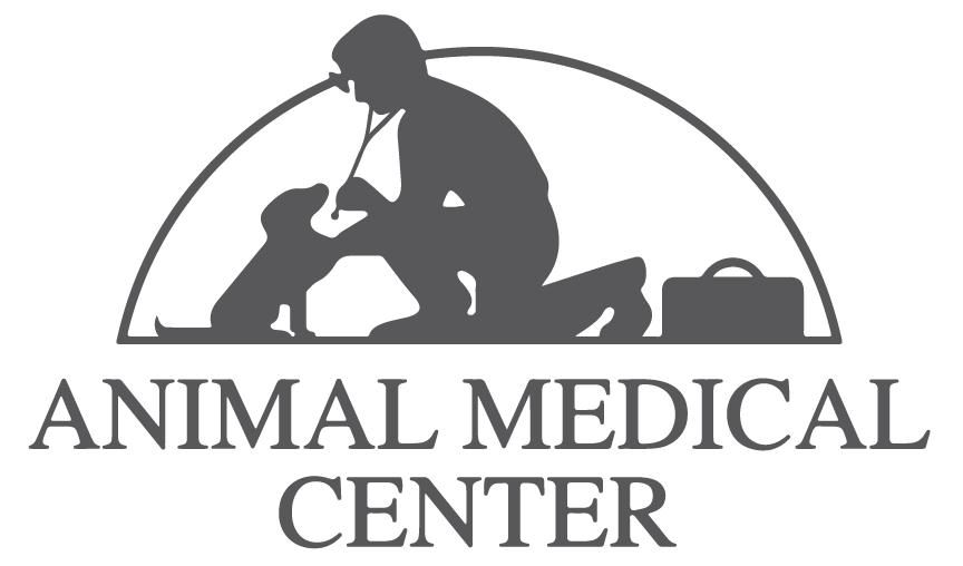 Animal Medical Center Gloversville NY