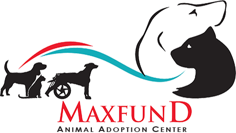 MaxFund Animal Adoption Center