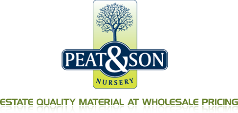 Peat & Son Nursery