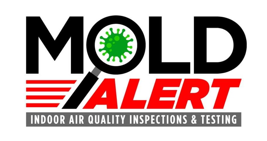 Mold Alert