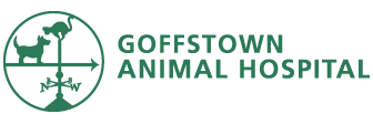 Goffstown Animal Hospital