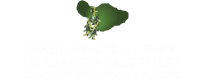 Nakamura Mortuary