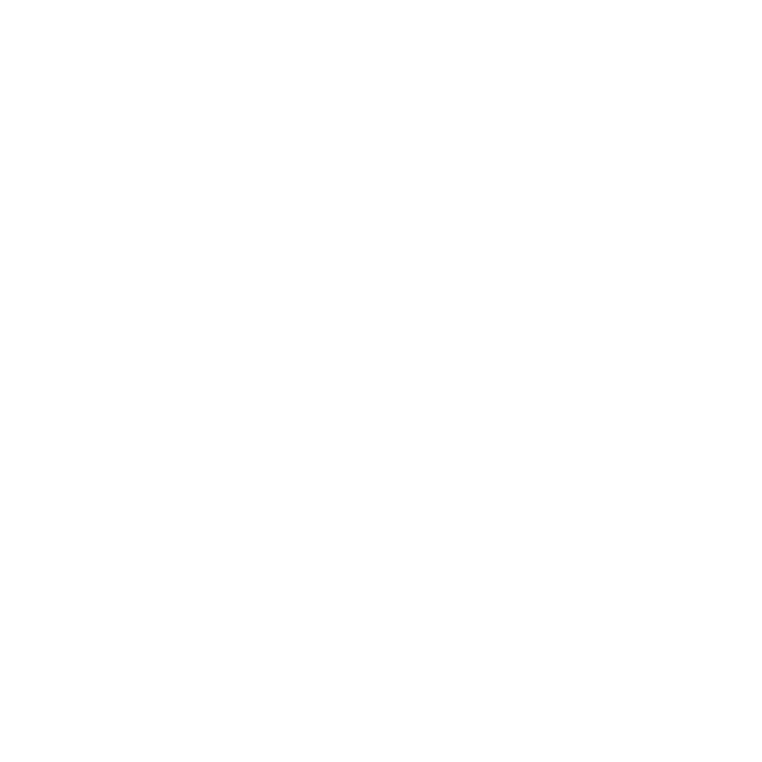 Zemek & Co