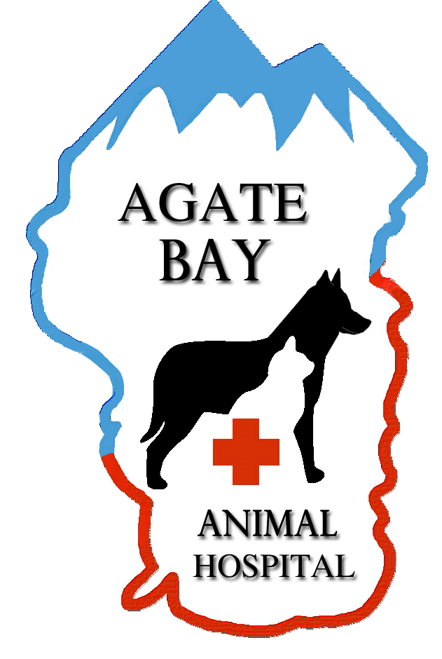 Agate Bay Animal Hospital