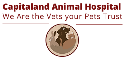 Capitaland Animal Hospital