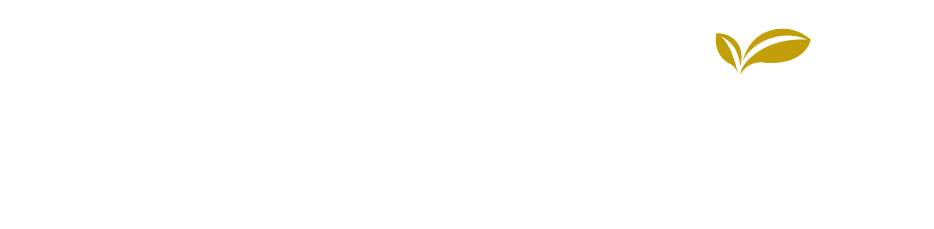 The Landing Senior Living - Winder