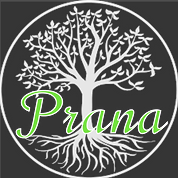 Prana Vitality And Wellness