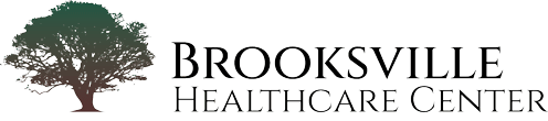 Brooksville Healthcare Center