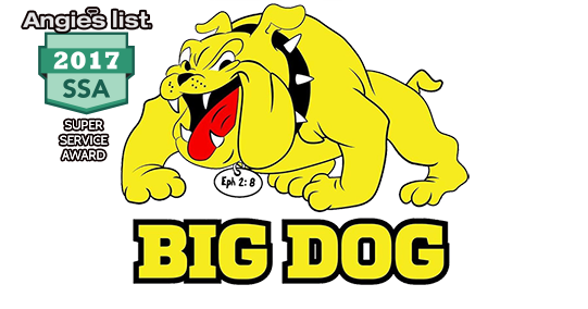 Big Dog Construction