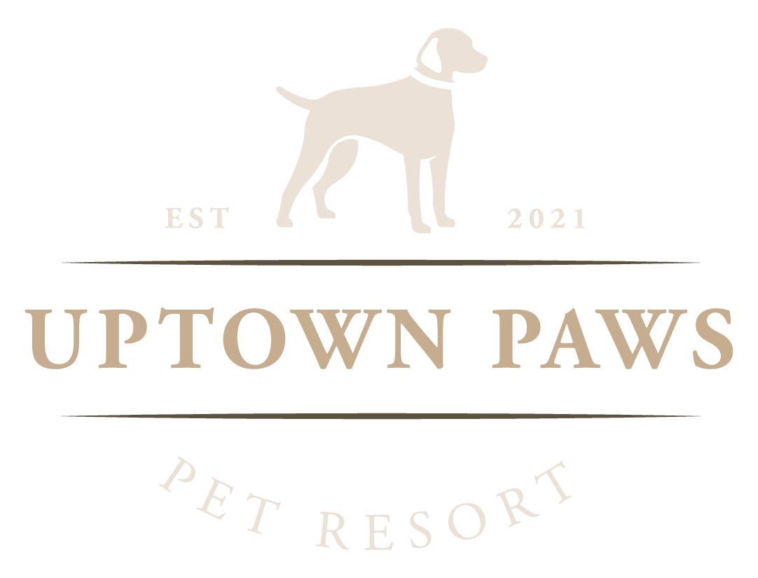 Uptown Paws