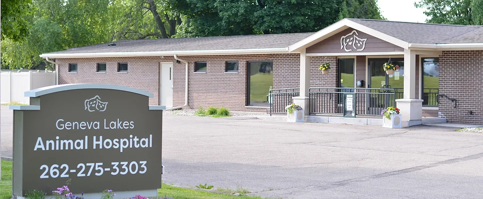 Geneva Lakes Animal Hospital