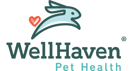 WellHaven Pet Health Bloomington