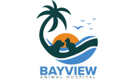 Bayview Animal Hospital