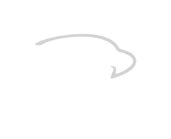 Verette Construction