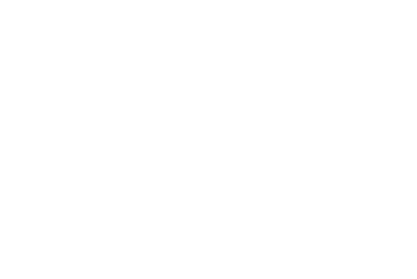 Summit Pet Care