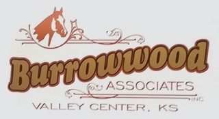 Burrowwood Associates Inc
