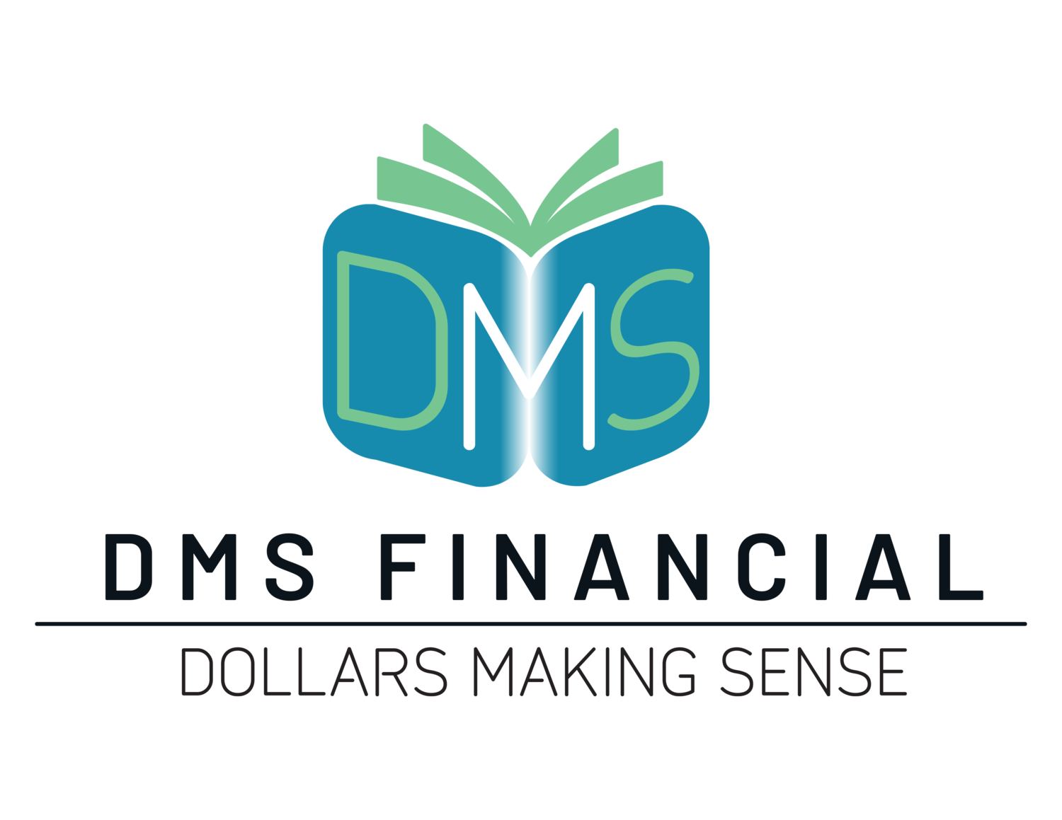 DMS Financial Consulting LLC