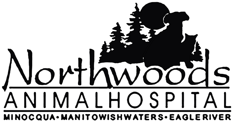 Northwoods Animal Hospital - Minocqua, WI