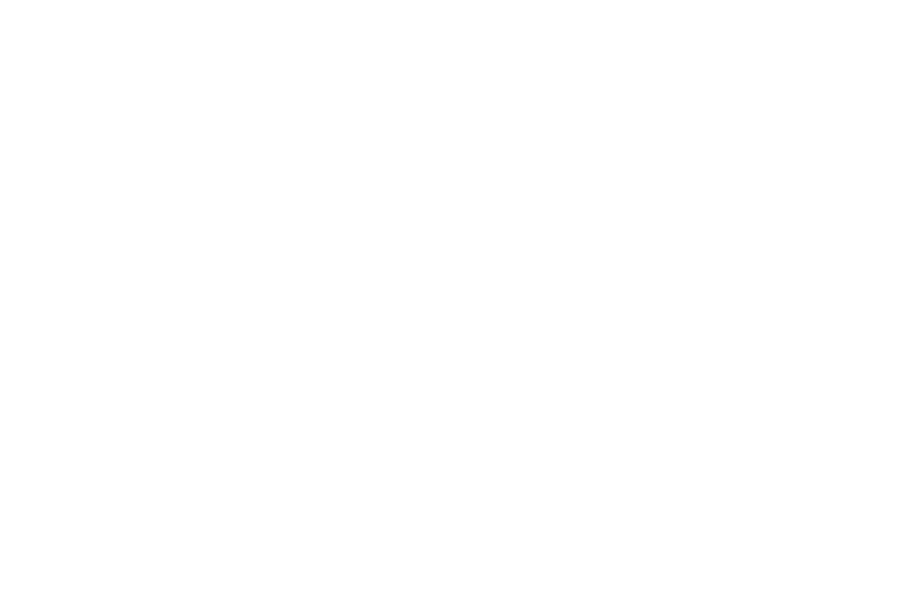 Thein Total Detailing