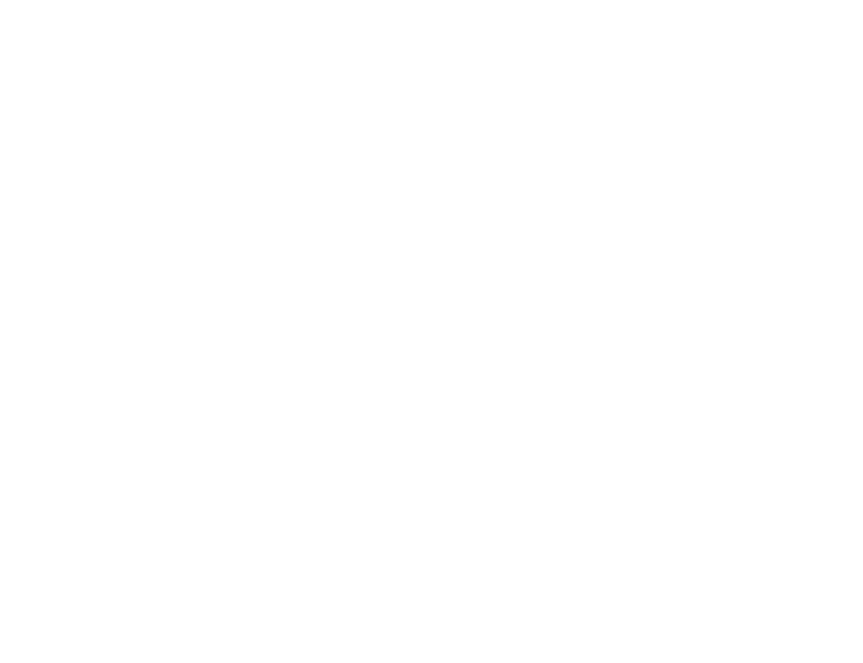 Carolina Cushions, Inc.