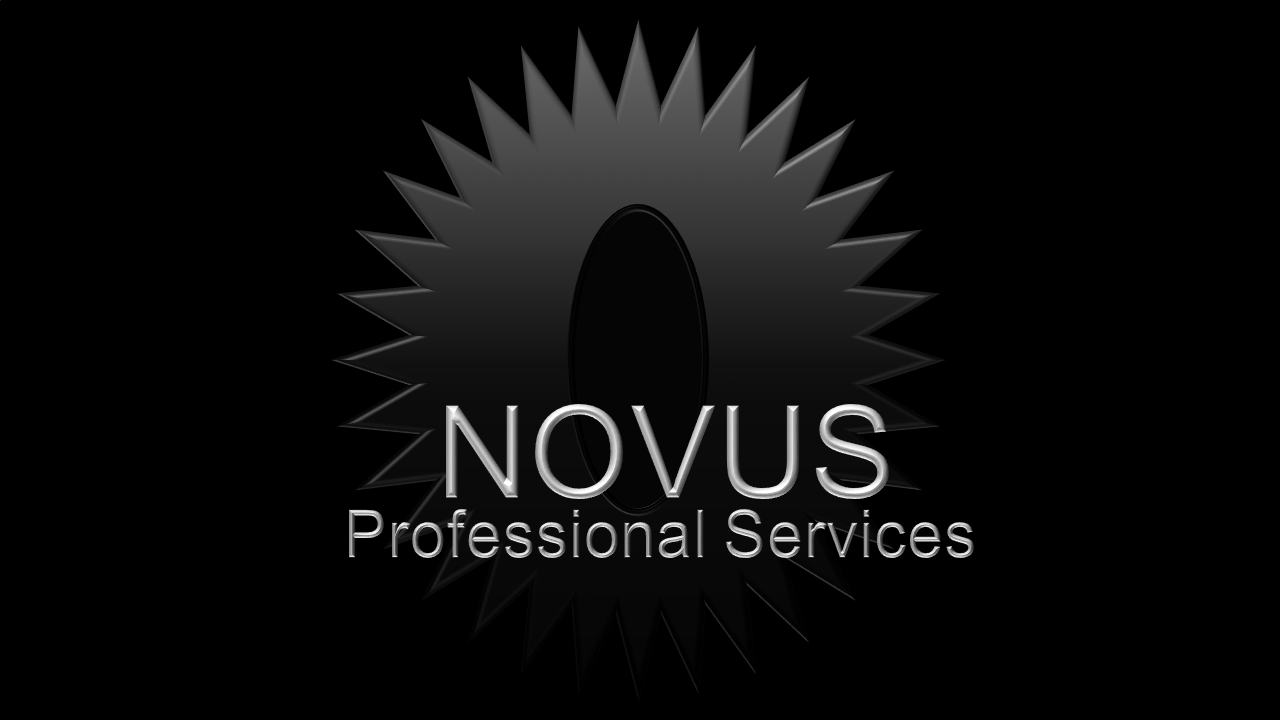 NOVUS Professional Services Inc