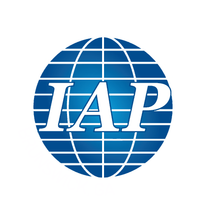 International Auto Processing Inc